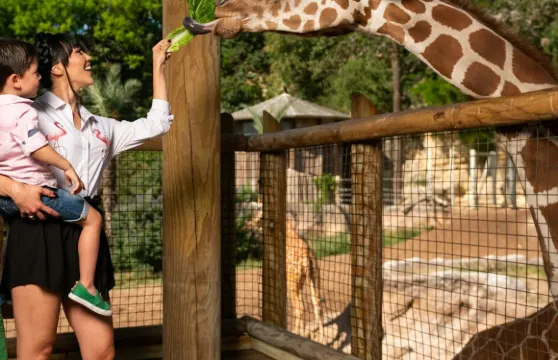 聖安東尼奧動物園彈性日期入場門票