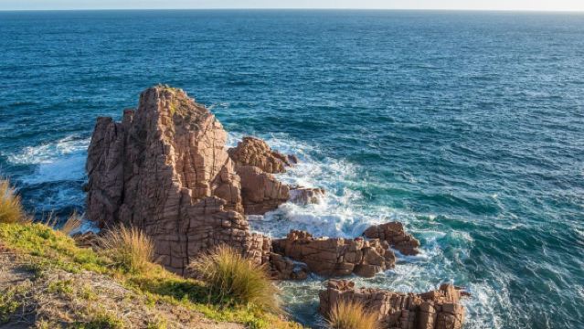 โรงงานช็อกโกแลตเพนนี + อุทยานธรรมชาติฟิลลิปไอส์แลนด์ - ศูนย์อนุรักษ์โคอาล่า + เกาะฟิลลิป + ทัวร์วันเดียว/ทัวร์หลายวัน