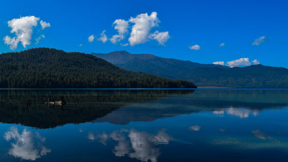 Rara