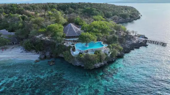 Oslob Whale Shark Watching + Sumilon Island 1-day tour