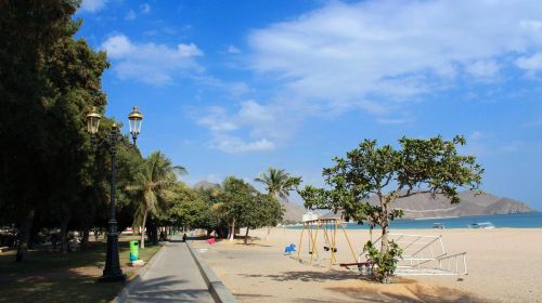 From Dubai Private Tour: Edge of Emirates: East Coast Tour Day Tours 7