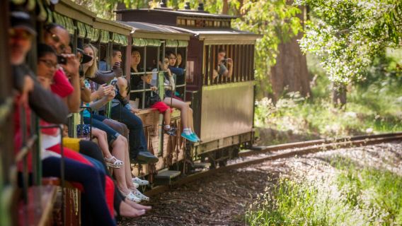 Puffing Billy Steam Train Half-Day Tour Belgrave - Lakeside