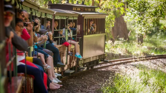 Treno a vapore Puffing Billy tour giornaliero di mezza giornata [Belgrave-Lakeside]