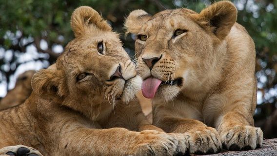 NairobiTours