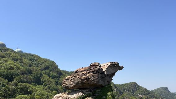 Lianyungang Liandao Island + Seaside Park + Old Street Private Charter 1-day Tour - English Service Available