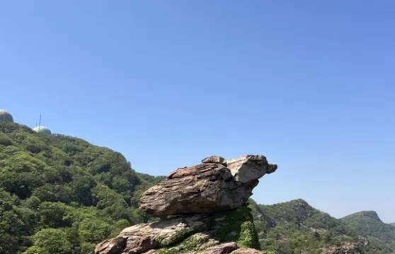 連雲港連島景區+在海一方公園+老街包車一日遊-可中英文服務