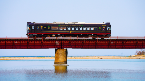 MiyazuTours