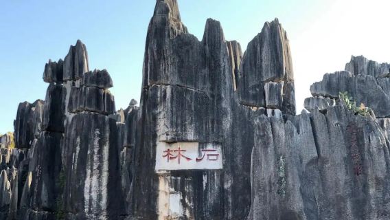 Stone Forest Scenic Area + Yiliang Roast Duck + Kunming City Private Tour