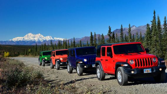 Denali Highway Jeep Excursion