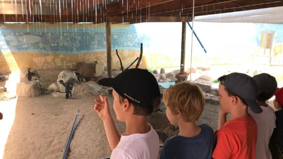 Plettenberg Bay: EcoKidz Family Wildlife Tour