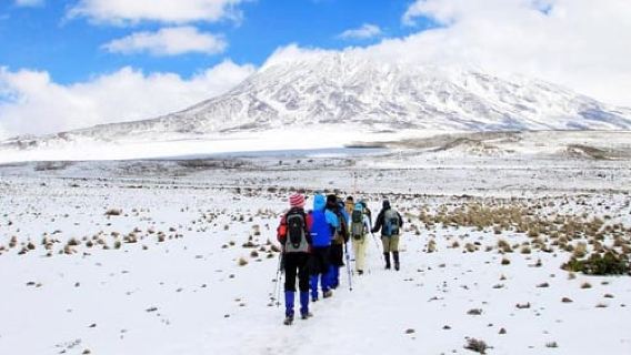 Arusha: caminata de un día por el Kilimanjaro hasta Mandara Hut