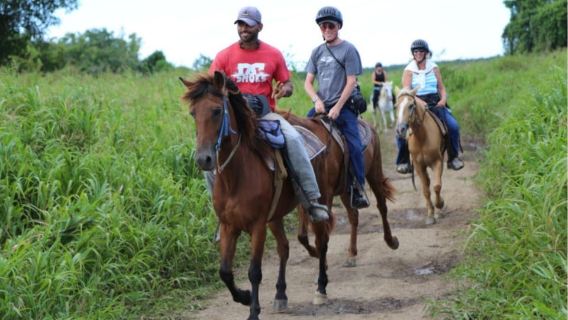 Expérience d'équitation panoramique