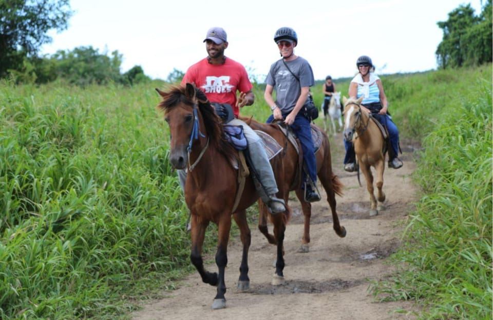 Esperienza panoramica a cavallo