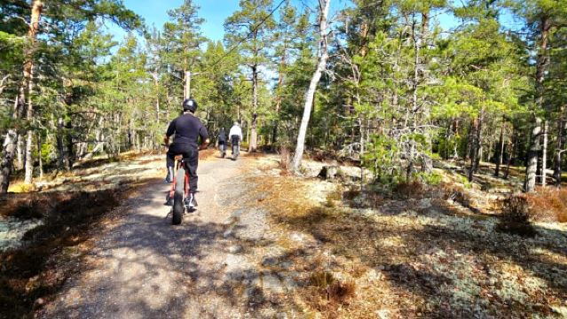 Stockholm: Fatbike-Waldabenteuer mit Mittagessen und Sauna
