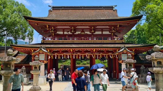 日本福岡市區網紅景點包車/可熊本別府綠牌5-14座包車-精選