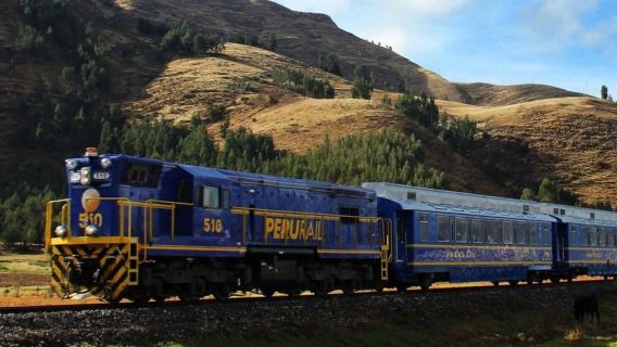 Cusco: tour del Machu Picchu con il treno Voyager o Expedition