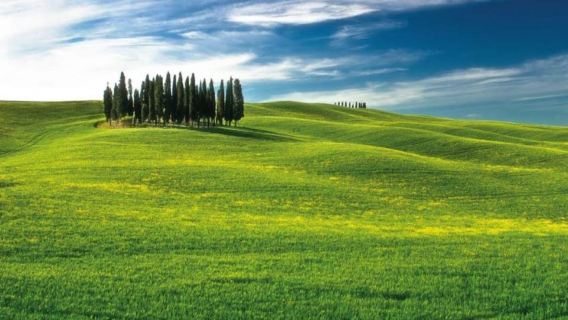 Từ Siena: Nhóm nhỏ San Gimignano, Chianti & Montalcino