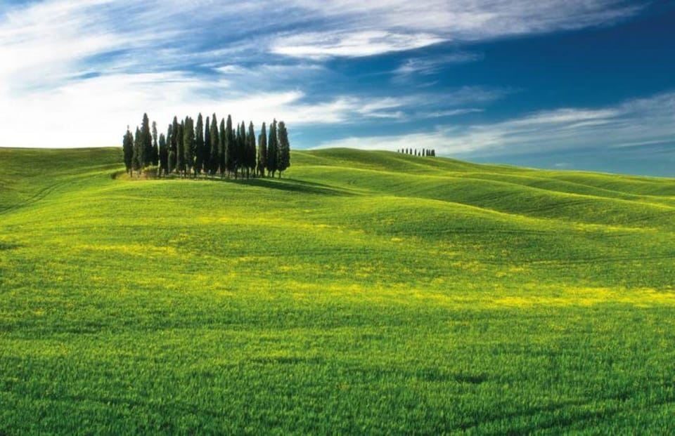 Gita di un giorno a San Gimignano, Chianti e Montalcino da Siena