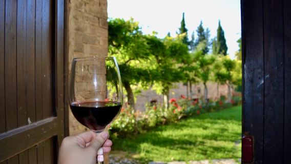 Chianti: Castle Cellar Tour with Wine Tasting