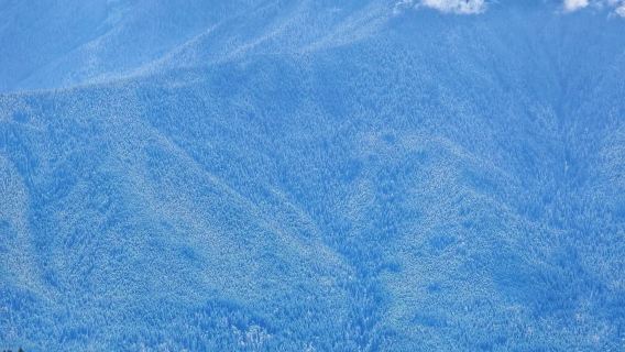 美國西雅圖市區來回奧林匹克國家公園颶風嶺等-包車-精選