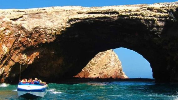 Osservazione della fauna marina nelle isole Ballestas