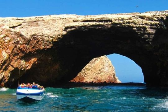 Observation of Marine Fauna in Ballestas Islands