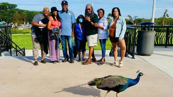 Everglades: en barco de propulsión plana con transporte
