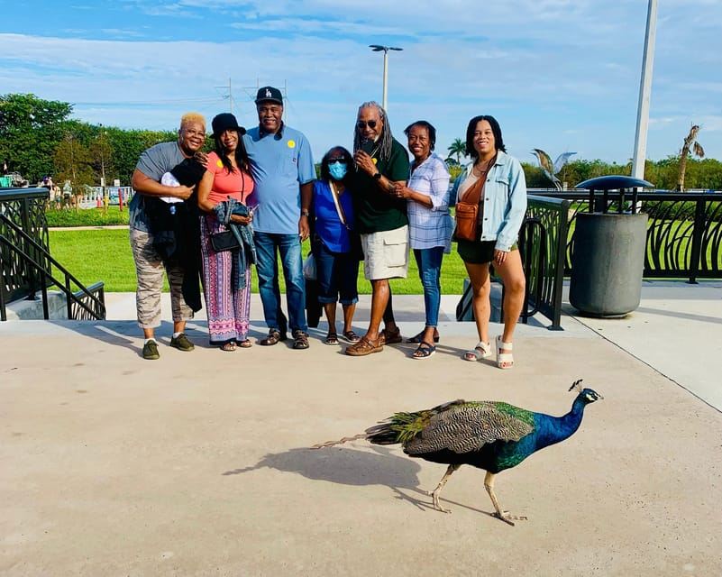Everglades Small Group on Airboat with Transportation