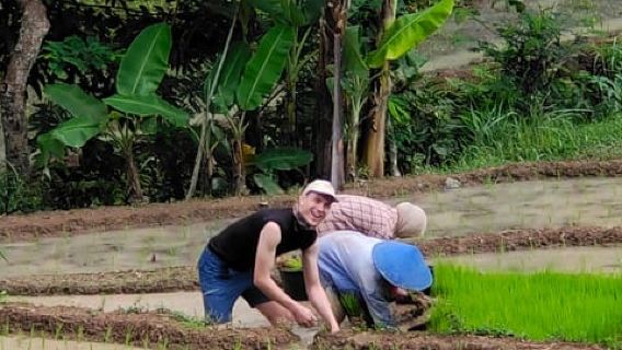 Templo Selogriyo y senderismo por las terrazas de arroz de Java con guía