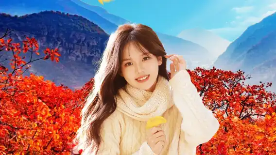 坡峰嶺一日遊●贈紅葉標本|紅葉季尾聲&錯過等一年&純玩周邊遊