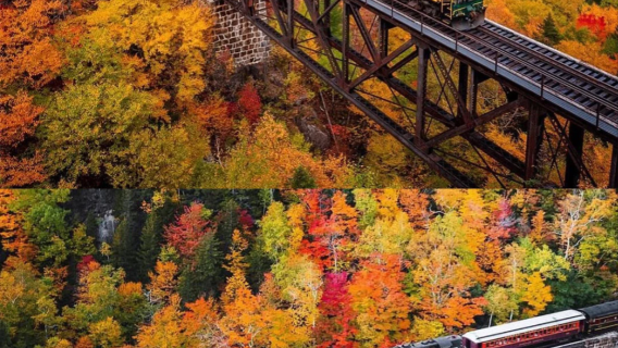 1-day tour to White Mountain National Forest Park in Boston, USA