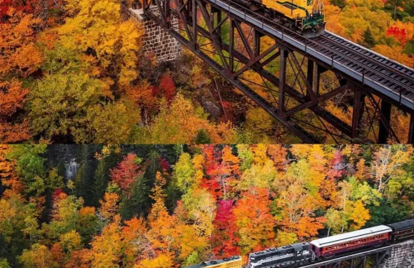 美國波士頓白山國家森林公園一日遊
