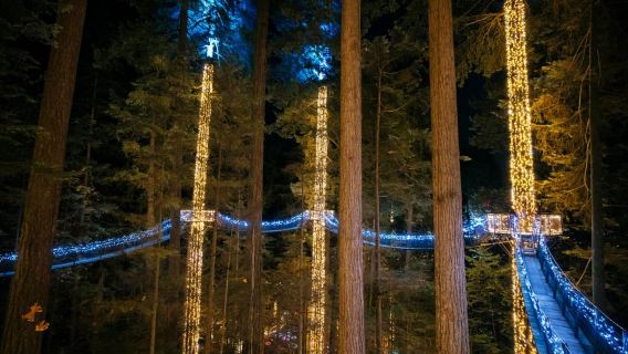 Luces del cañón del puente colgante de Capilano y 4 puntos destacados