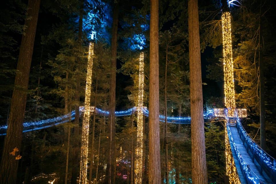 Capilano Suspension Bridge Canyon Lights & 4 Top highlights