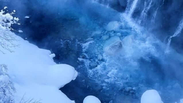 日本北海道+旭川動物園+旭山寺一日遊/行程可調-可定制多日