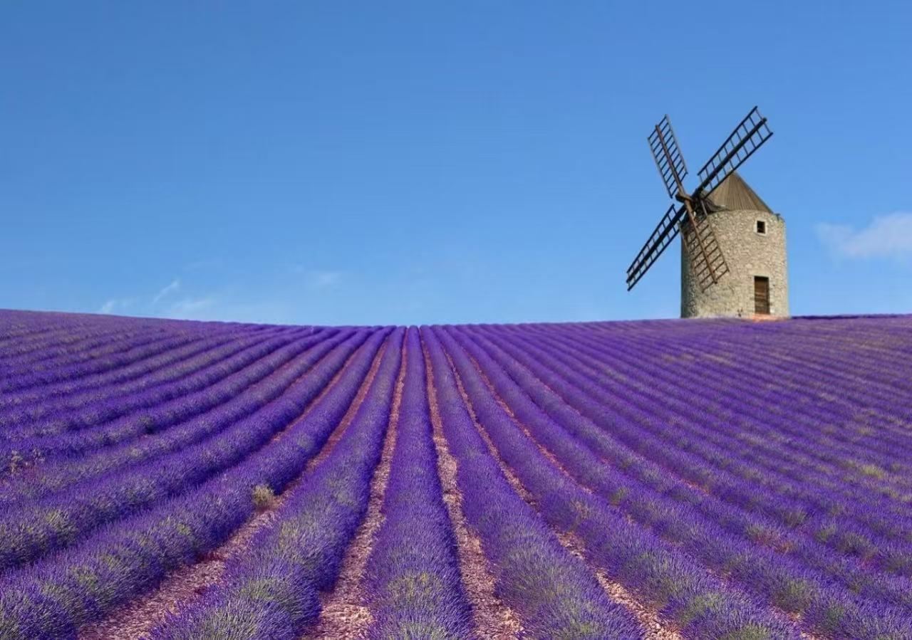 1-day tour from Nice, Provence: Lavender fields - Lake of Sainte-Croix cruise - Verdon Gorge sightseeing