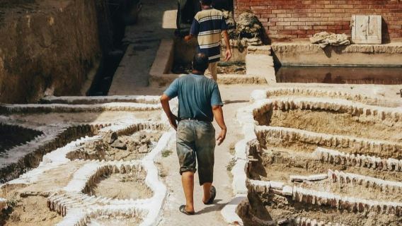 丹吉爾：馬拉加出發導覽日遊 + 午餐