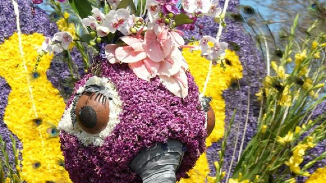 ขบวนพาเหรดดอกไม้: ทัวร์ครึ่งวันจากอัมสเตอร์ดัม