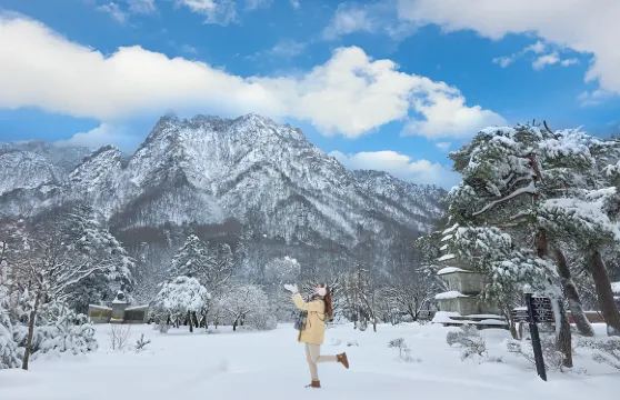 雪嶽山+南怡島+晨靜園藝樹木園一日遊