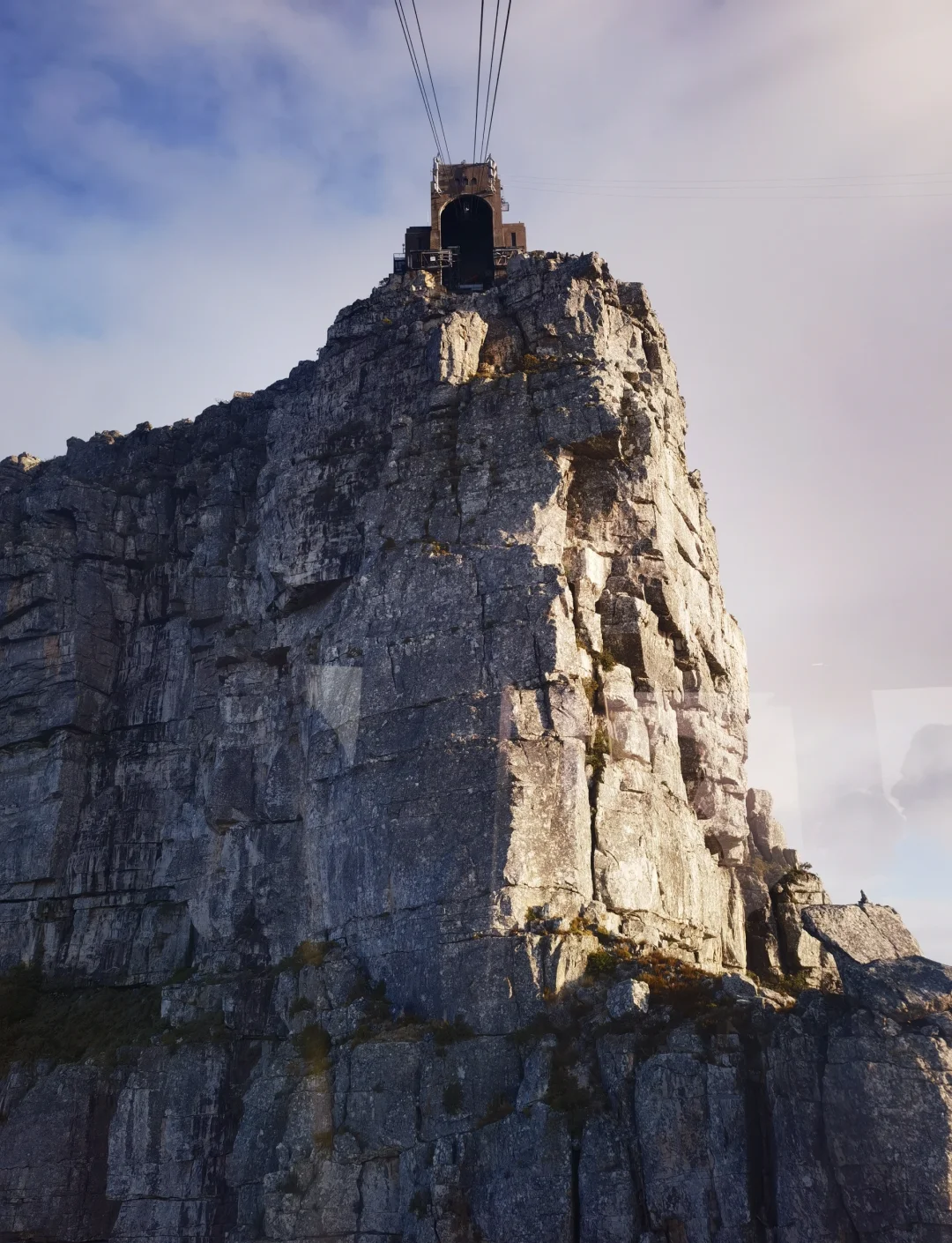 【南非開普敦包車一日遊】桌山+豪特灣+大康斯坦提亞葡萄酒莊