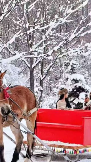 延吉往復・雪嶺/老里克湖、魔界漂流、雪絨花トナカイ園/入場チケット自理