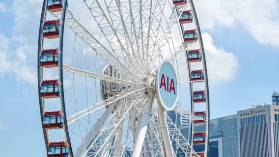 Hong Kong Observation Wheel + Victoria Peak + Victoria Harbour Scenic Tour [6-hr Private Charter - Customizable Itinerary]