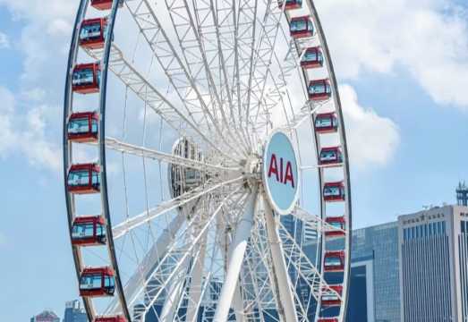 Hong Kong Observation Wheel + Victoria Peak + Victoria Harbour Scenic Tour [6-hr Private Charter - Customizable Itinerary]