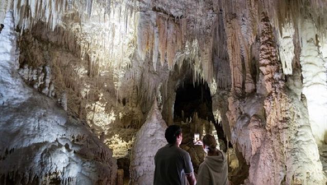 1-Hour Guided Tour of Aranui Cave Waitomo