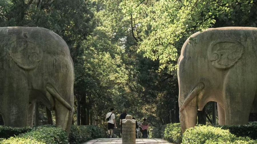 可選8人團丨明孝陵懷古・中山陵景區仰止丨南京鐘山景區環線一日活動