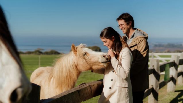 Melbourne (Ritorno dei pinguini a Phillip Island/Fattoria Churchill/Riserva dei koala) Scelta libera