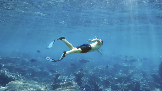 Bali, Indonesia - JUKUNG DIVE RESORT PENIDA freediving & snorkeling 3-hour experience [snorkeling]