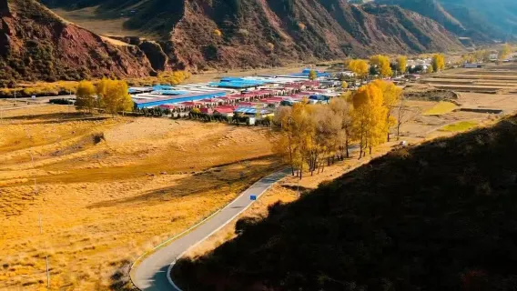 張掖馬蹄石窟群旅遊區+大都麻賞景一日遊【純玩/共乘/看祁連北麓風景】