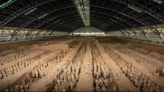 Excursión de un día: Guerreros de Terracota y Muralla de Xi'an