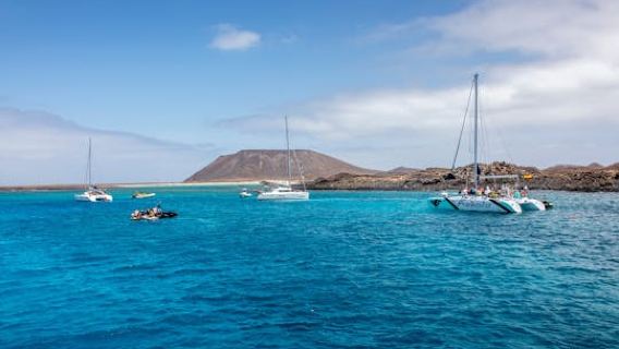 Catamarano Freebird per adulti dedicato all'avvistamento di balene e delfini a Tenerife